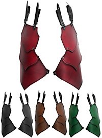 Tassettes en cuir - Monteur de dragon